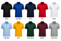 POLO SHIRT WITH SCHOOL LOGO ADDED- PROVIDED BY  US